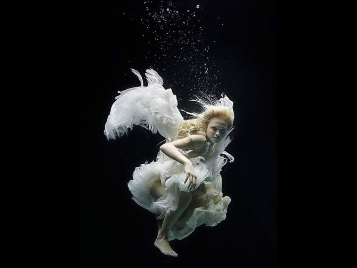Under Water Photography 34
