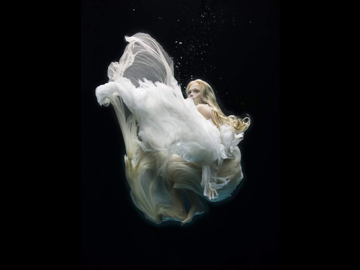 Under Water Photography 35
