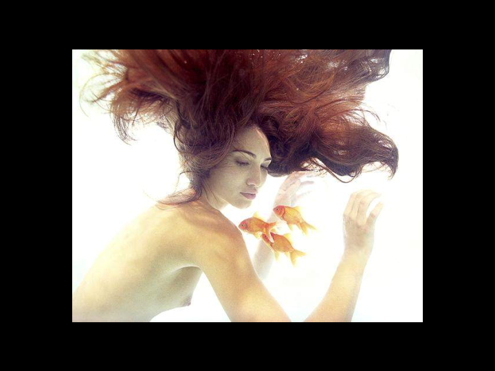 Under Water Photography 42