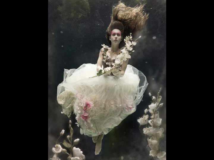 Under Water Photography 45