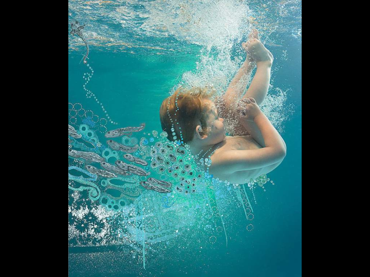 Under Water Photography 9