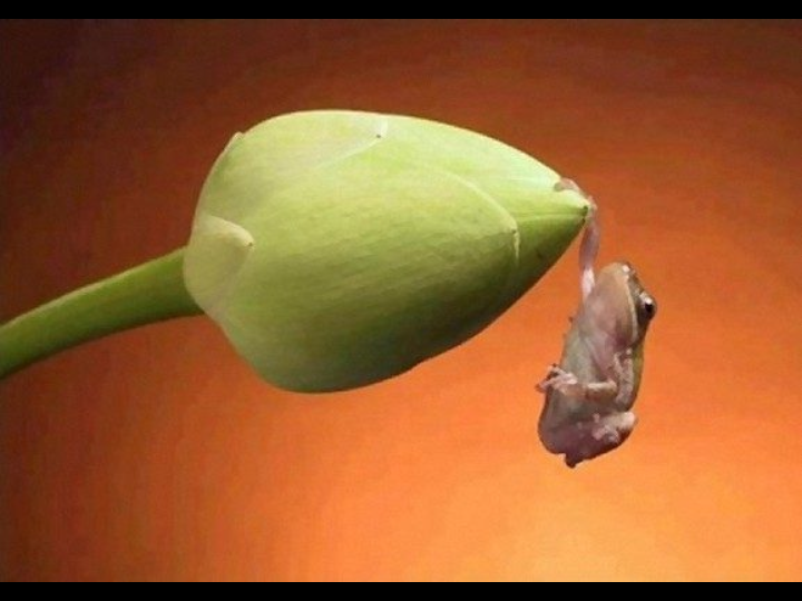 Unusual Pictures 25