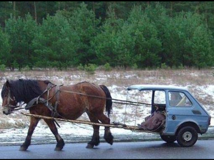 Unusual Pictures 27