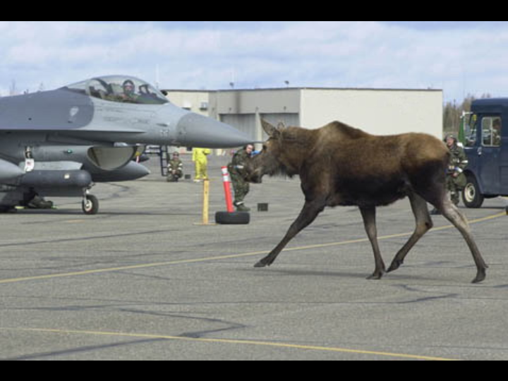 Unusual Pictures 30