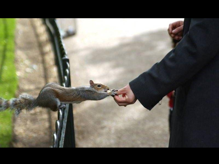 Unusual Pictures 35