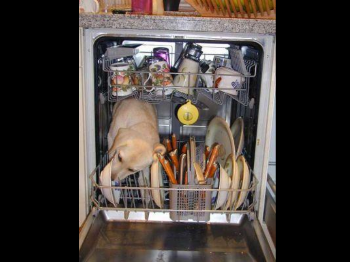 Unusual Pictures 40