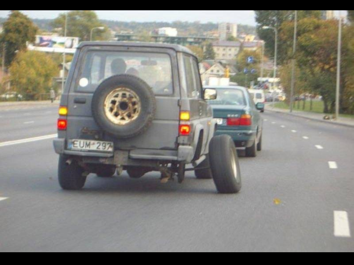 Unusual Pictures 8